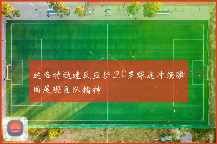 达洛特迅速反应护卫C罗球迷冲场瞬间展现团队精神