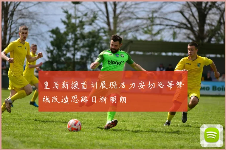 皇马新援首训展现活力安切洛蒂锋线改造思路日渐明朗